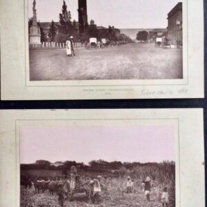 1888 Robert Harris Collection Of Photographs From South Africa 53 x Photos