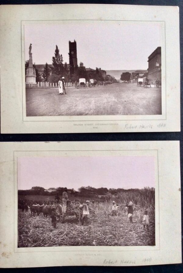 1888 Robert Harris Collection Of Photographs From South Africa 53 x Photos