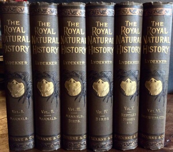 1893 Royal Natural History By Richard Lydekker 6 x Vol Set Fine Colour Plates