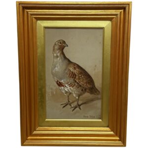 19th Century Watercolour Partridge Game Bird by Frank Paton