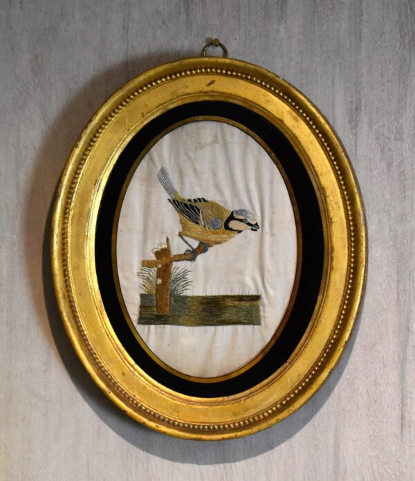 Georgian Needlework of Blue Tit by Susannah Cleveland