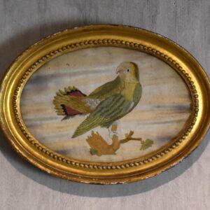 Georgian Needlework of Parrot by Susannah Cleveland