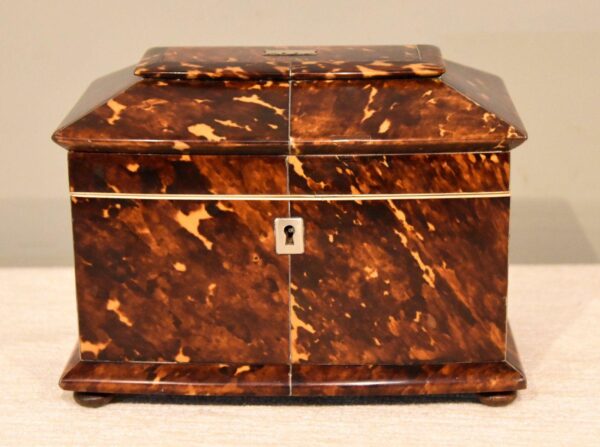 Regency Bow Front Tortoiseshell Tea Caddy