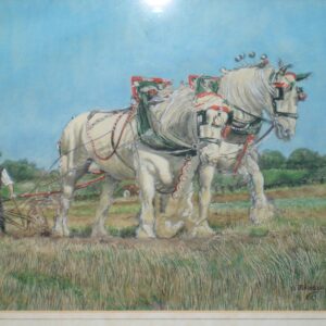 Watercolour: Farmer Ploughing With 2 Shire Horses