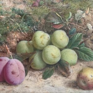 William Hough Watercolour Still Life of Plums & Greengages