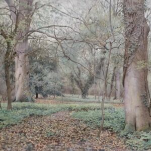 Wilmot Pilsbury Watercolour - Woodland Scene