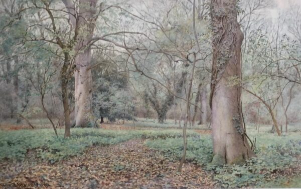 Wilmot Pilsbury Watercolour - Woodland Scene