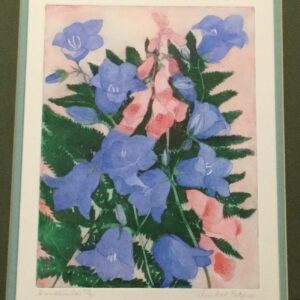 Winifred Packard Signed Coloured Etching of Campanulas