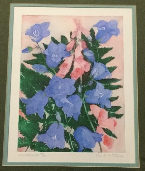 Winifred Packard Signed Coloured Etching of Campanulas